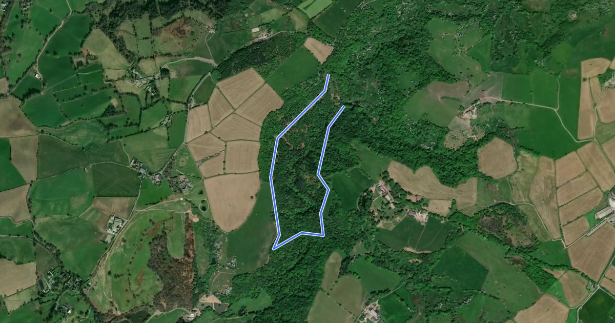 Маршрут Woodcock Trail на спутниковом снимке