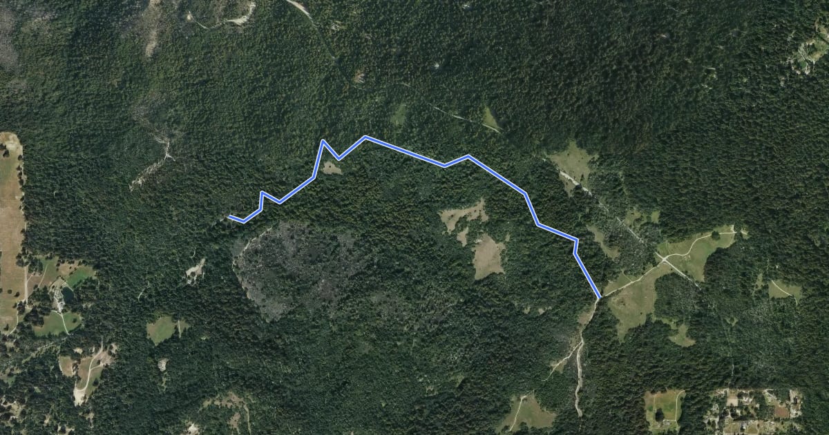 Маршрут Woodcutter's Trail на спутниковом снимке