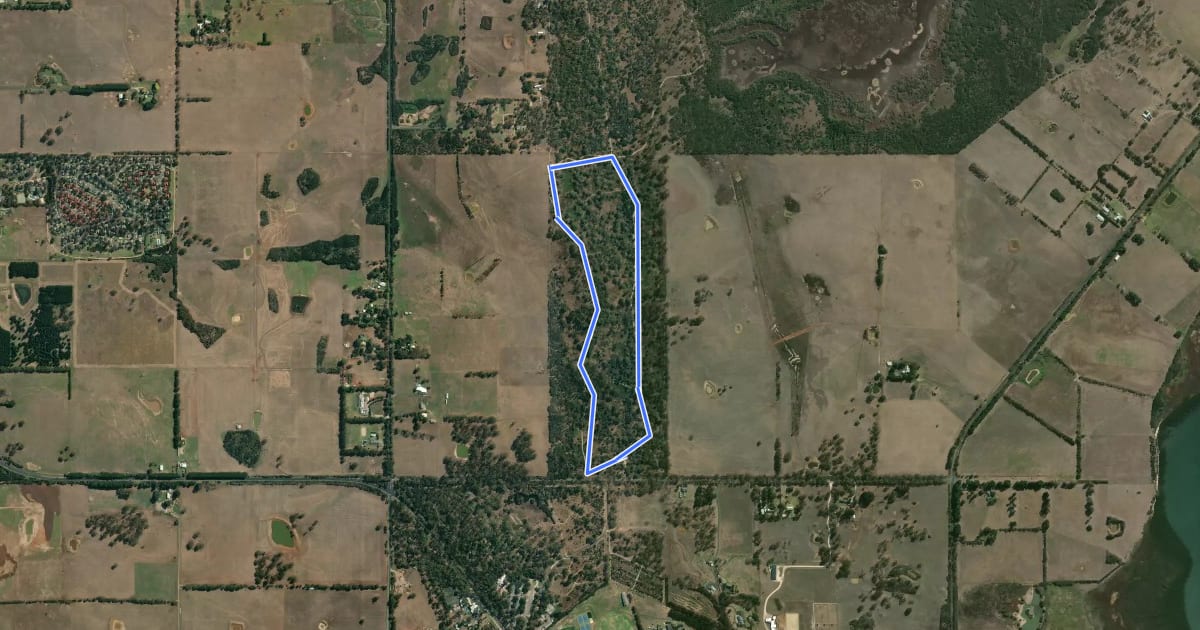 Маршрут Woodland Loop на спутниковом снимке