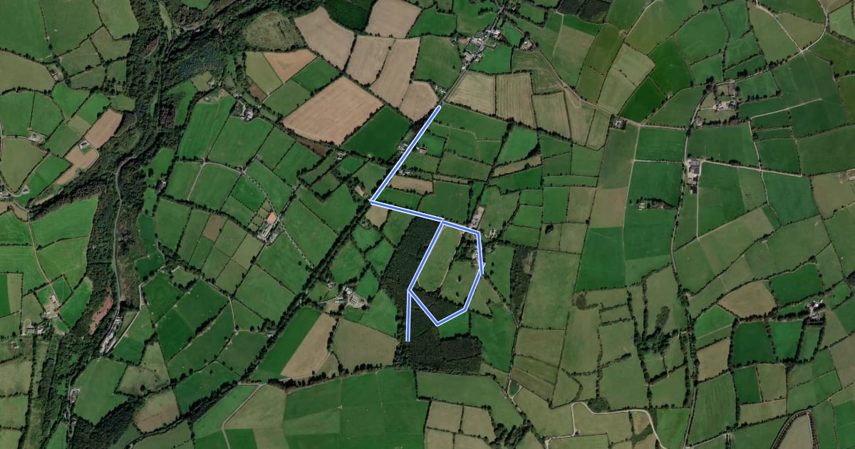 Маршрут Woodland Loop на спутниковом снимке