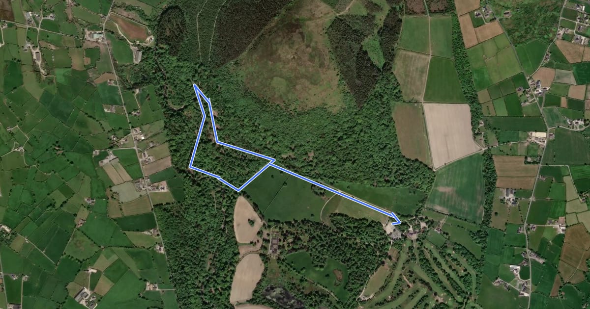Маршрут Woodland Loop на спутниковом снимке