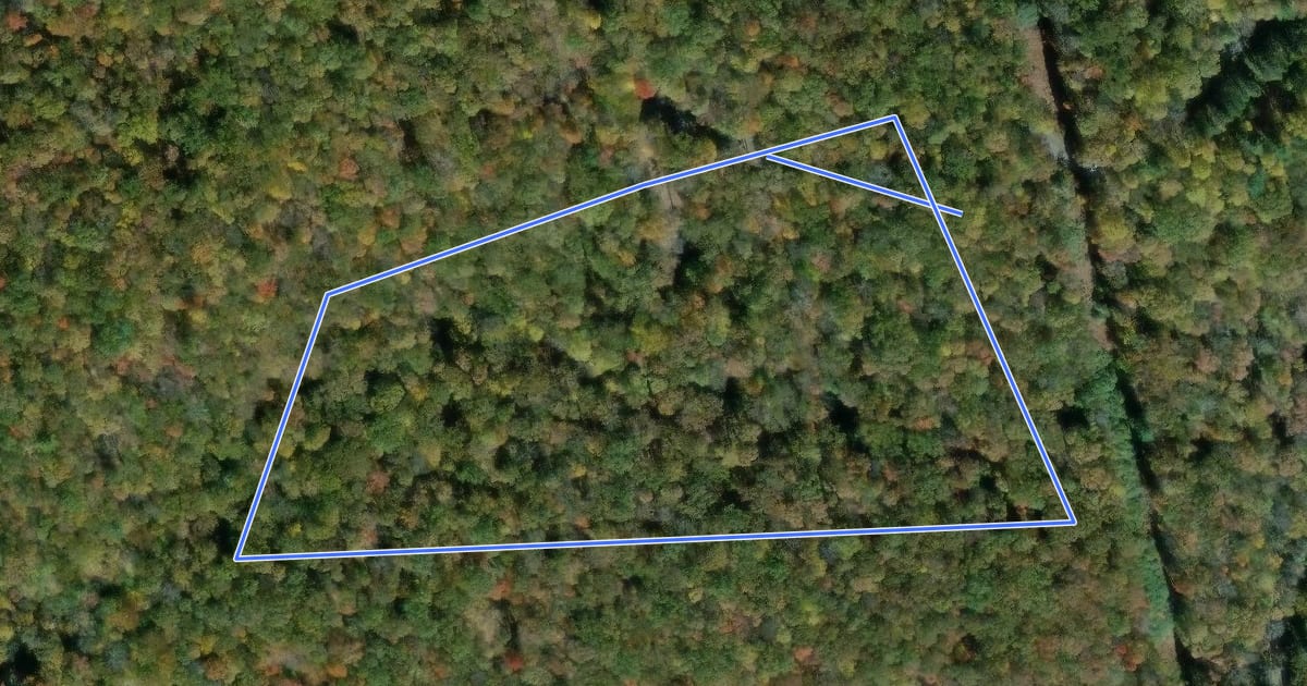 Маршрут Woodland Loop Trail на спутниковом снимке