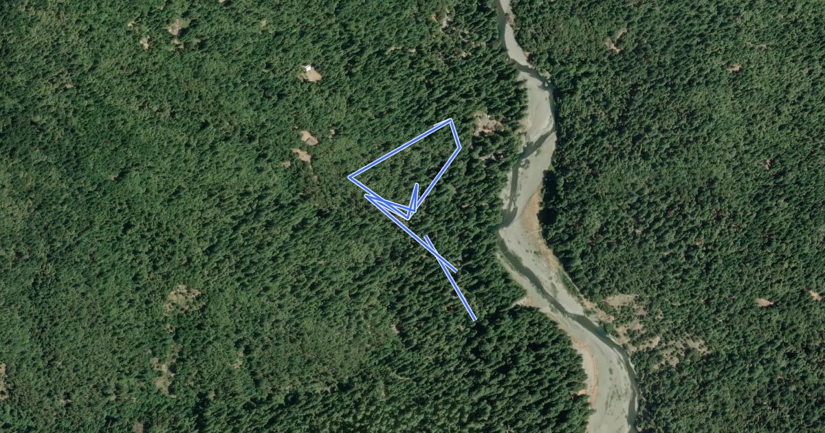 Маршрут Woodland Trail на спутниковом снимке