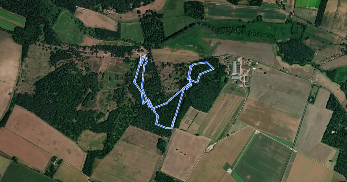 Маршрут Woodland Trail на спутниковом снимке