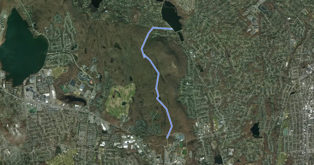 Маршрут Woodland Trail на спутниковом снимке