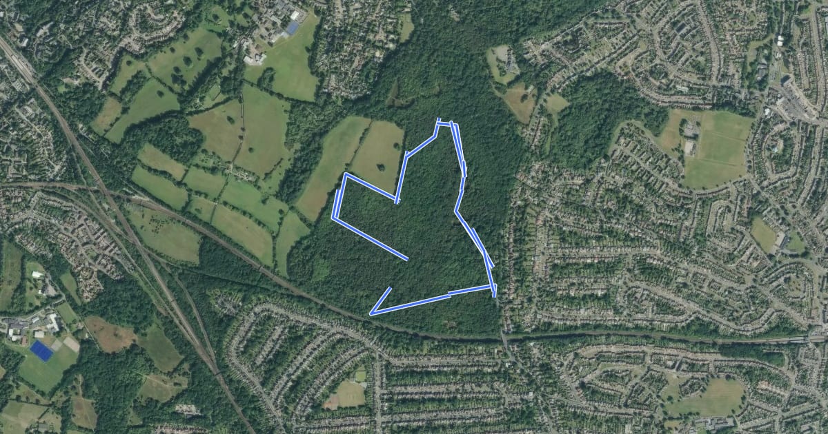 Маршрут Woodland Walk, Hawkwood/PettsWood на спутниковом снимке