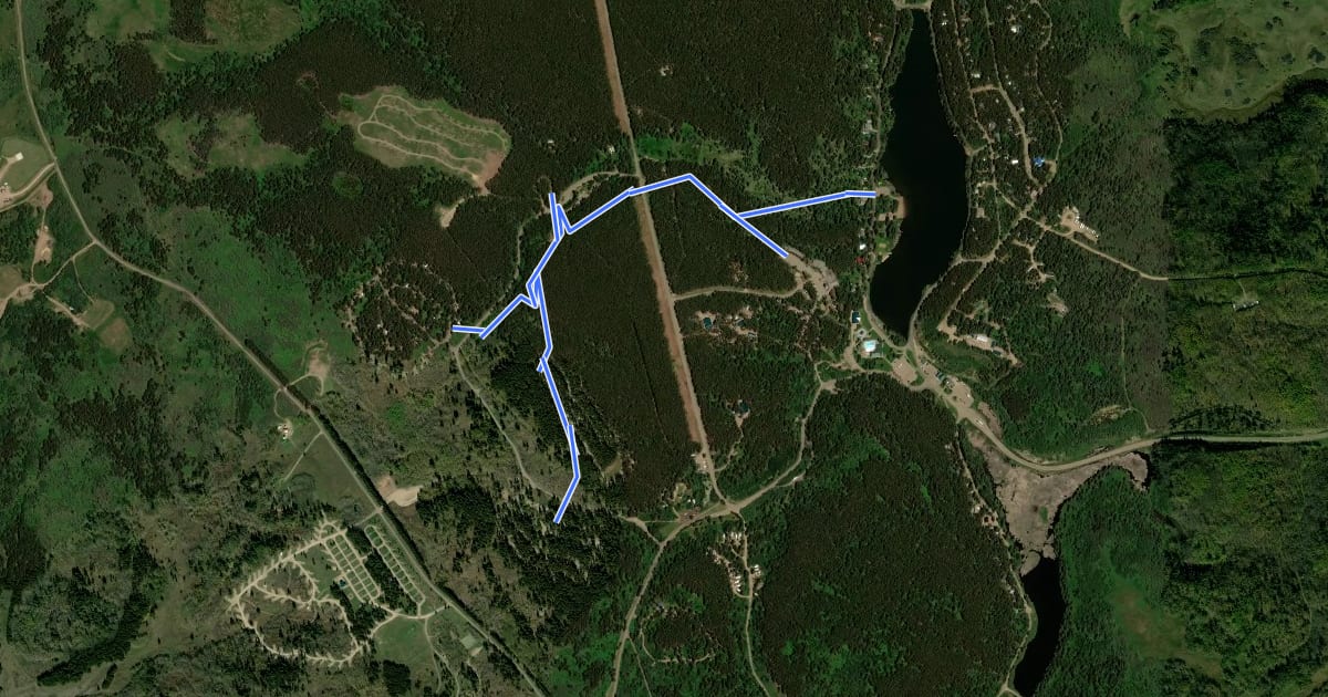 Маршрут Woodlands Trail на спутниковом снимке