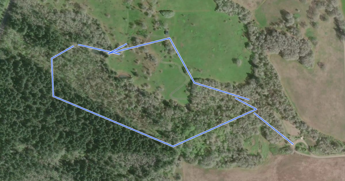 Маршрут Woodpecker Loop Trail на спутниковом снимке