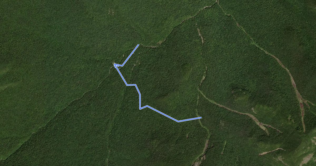 Маршрут Woodsfall Trail на спутниковом снимке