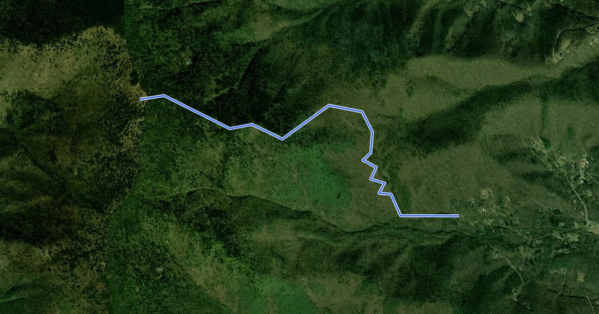 Маршрут Woody Ridge Trail на спутниковом снимке