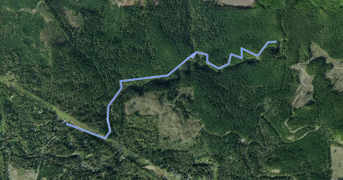 Маршрут Woody Trail на спутниковом снимке