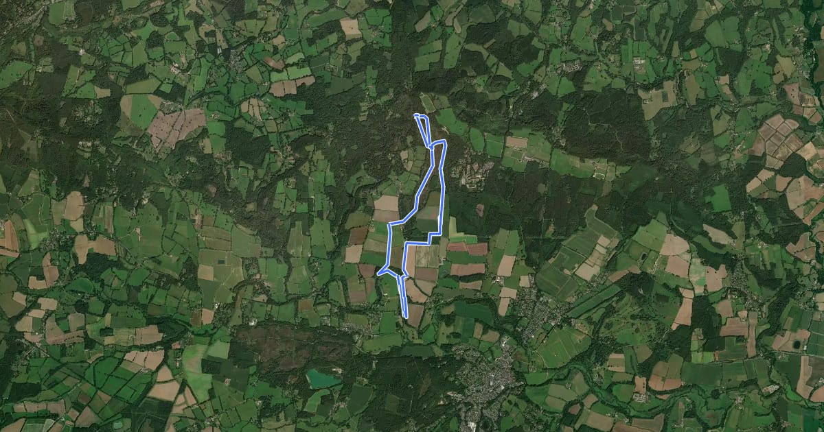 Маршрут Woolbeding Landscapes Walk, Sussex West на спутниковом снимке
