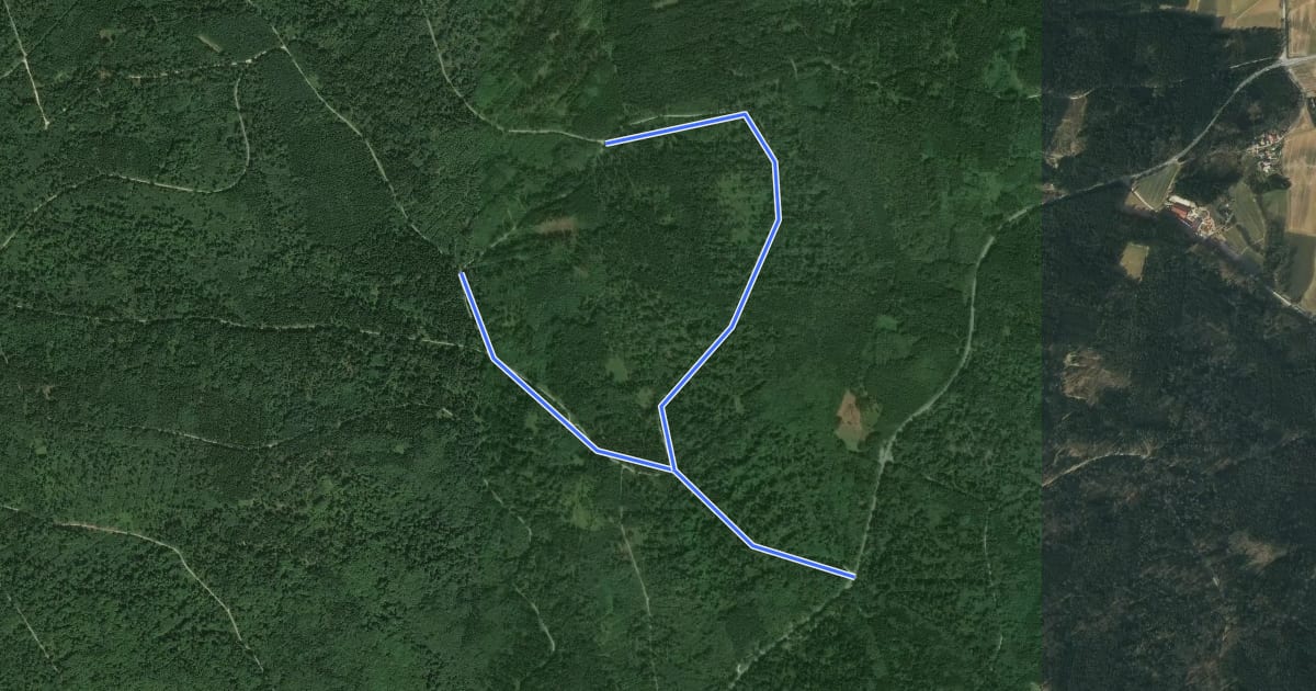 Маршрут WR 2 Rundwanderweg Sperbereck (Rote Raute) на спутниковом снимке