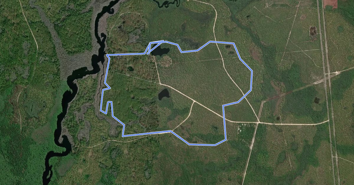 Маршрут Wright Lake Main Trail на спутниковом снимке