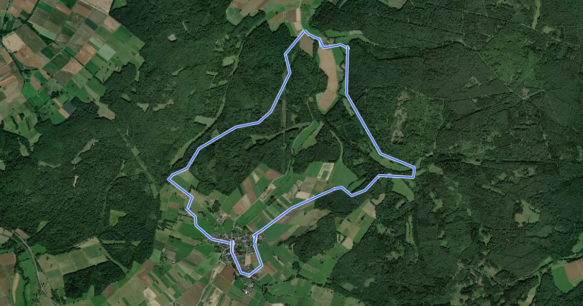 Маршрут WT SchwalmTALwanderweg Waldtour на спутниковом снимке