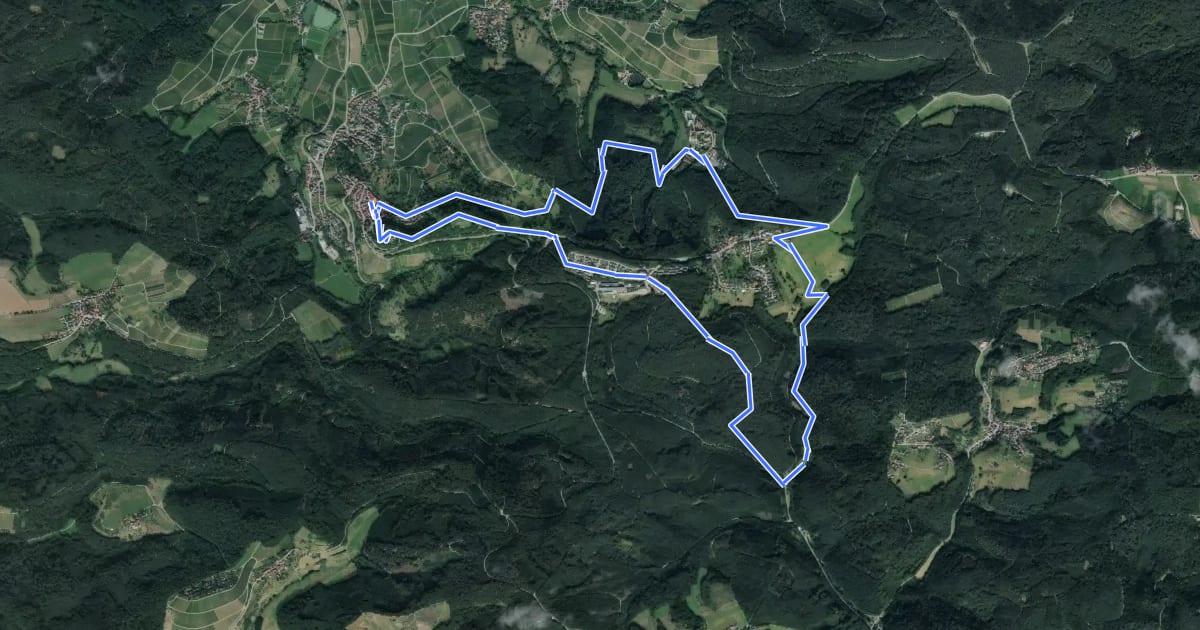 Маршрут WT12 Wald- und Wiesentour Löwenstein на спутниковом снимке
