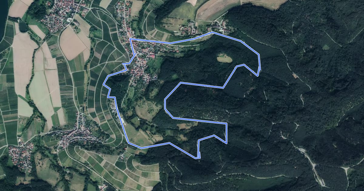 Маршрут WT21 - Durch Wald und Wein на спутниковом снимке