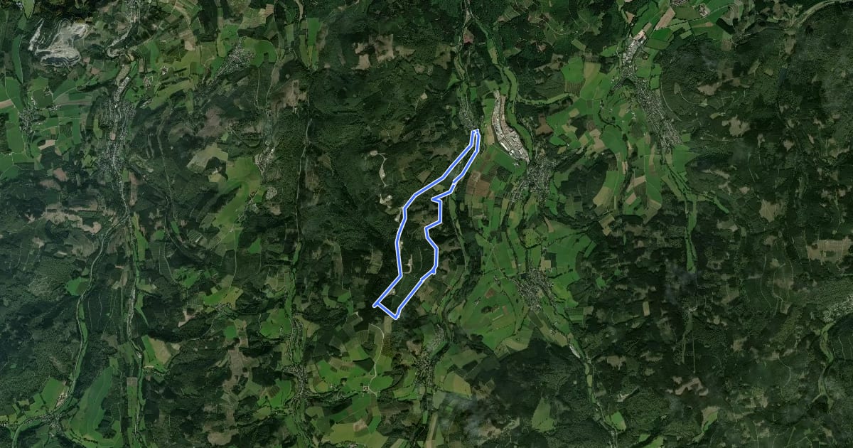 Маршрут Wulmeringhausen Ziegenberg-Rundweg W4 на спутниковом снимке
