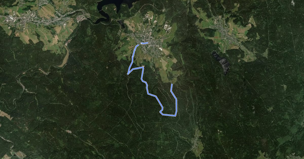 Маршрут Ww Eibenstock - Waldhausen über Dönitzbachtal на спутниковом снимке