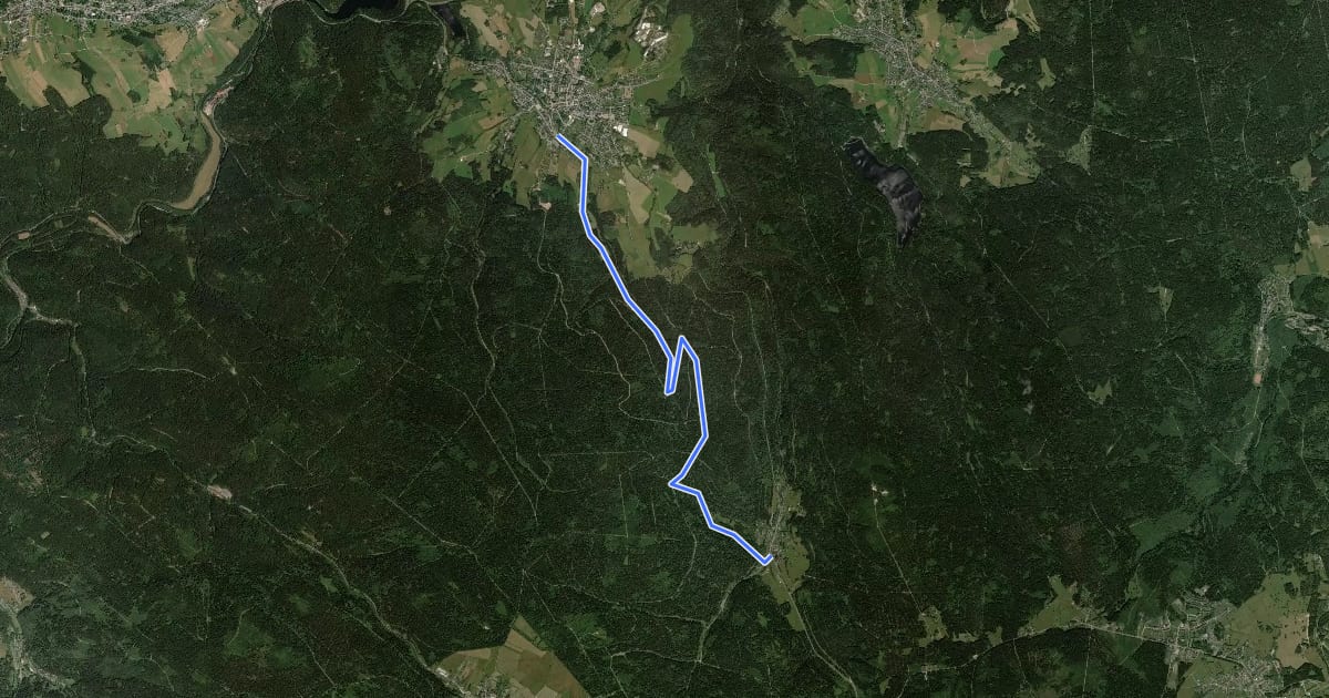 Маршрут Ww Eibenstock - Waldhausen - Wildenthal на спутниковом снимке