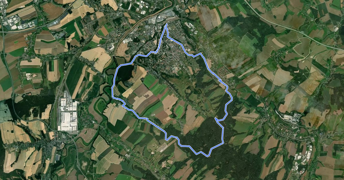 Маршрут Ww Glauchau–Wernsdorf–Rümpfwald–Niederlungwitz–Glauchau на спутниковом снимке