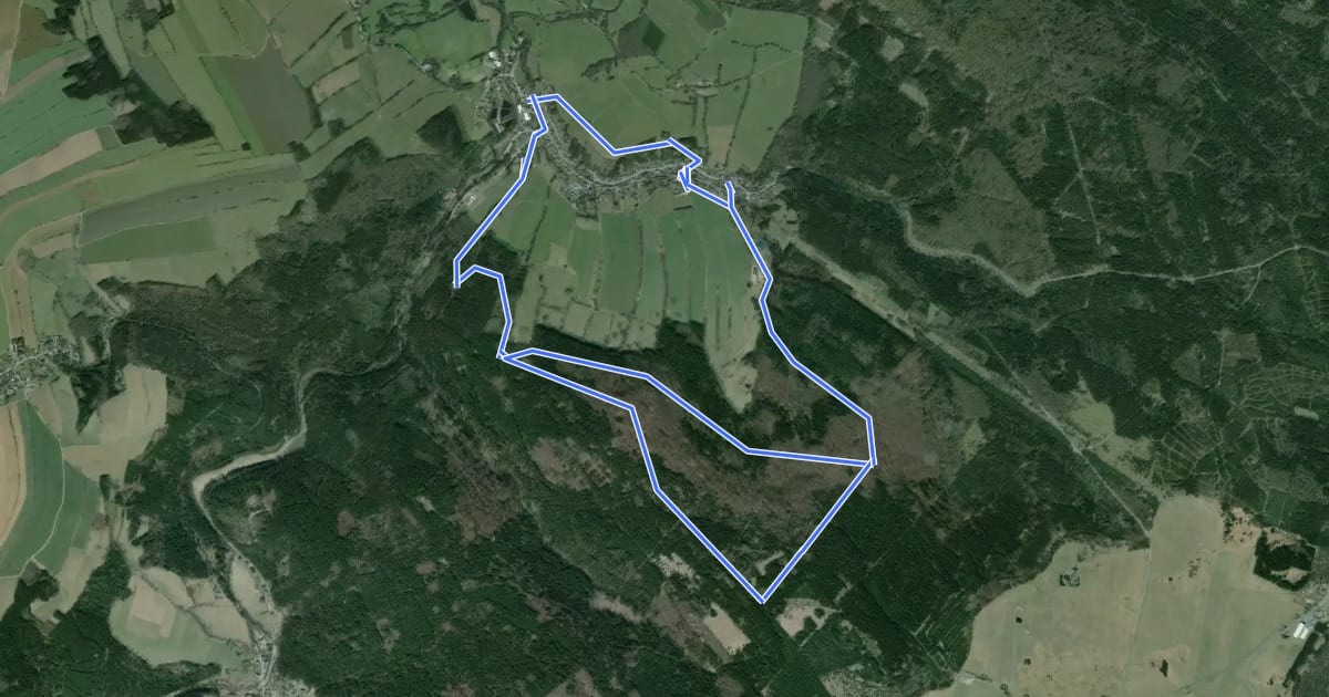 Маршрут Ww Großer Ringweg Steinbach - Satzung на спутниковом снимке