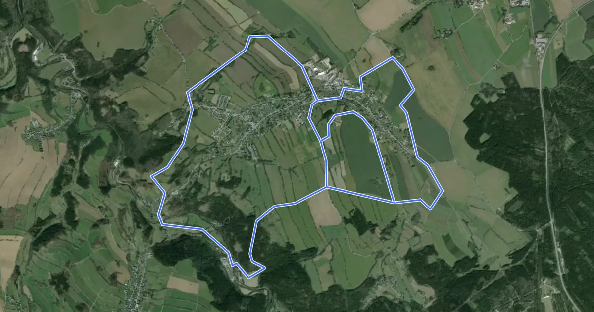 Маршрут Ww Großrückerswalder Rundweg на спутниковом снимке