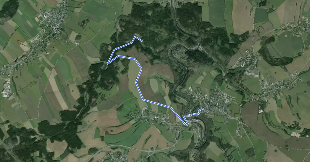 Маршрут Ww Heidelbachtal-Schönbrunn-Wolkenstein на спутниковом снимке