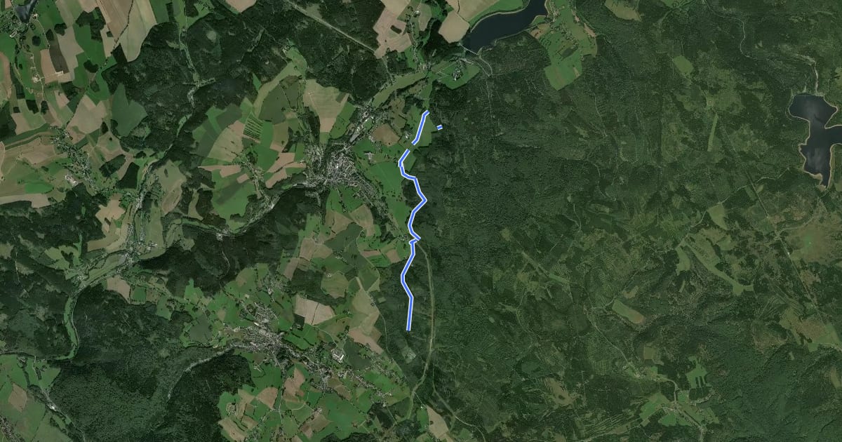 Маршрут Ww Herrenweg bei Bad Einsiedel - Kneippbecken Rauschenbach на спутниковом снимке