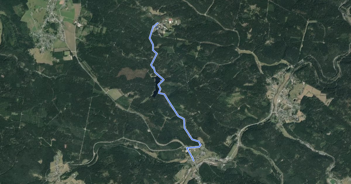 Маршрут Ww Jägersgrün - Vogtlandsee - Grünheide на спутниковом снимке