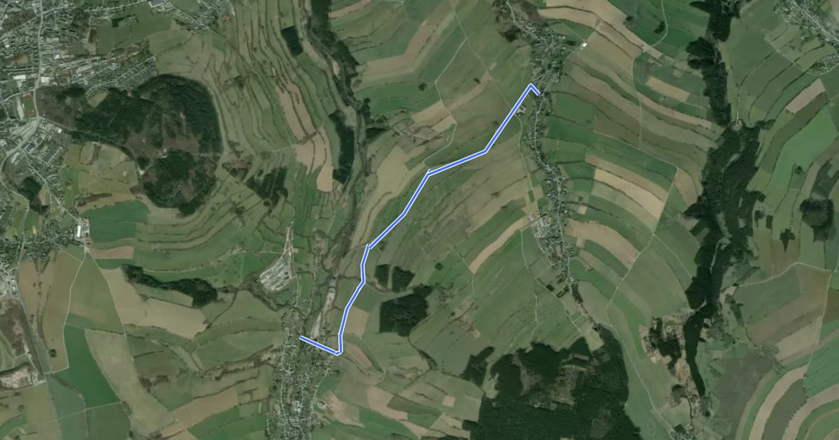 Маршрут Ww Mildenau- Königswalde на спутниковом снимке