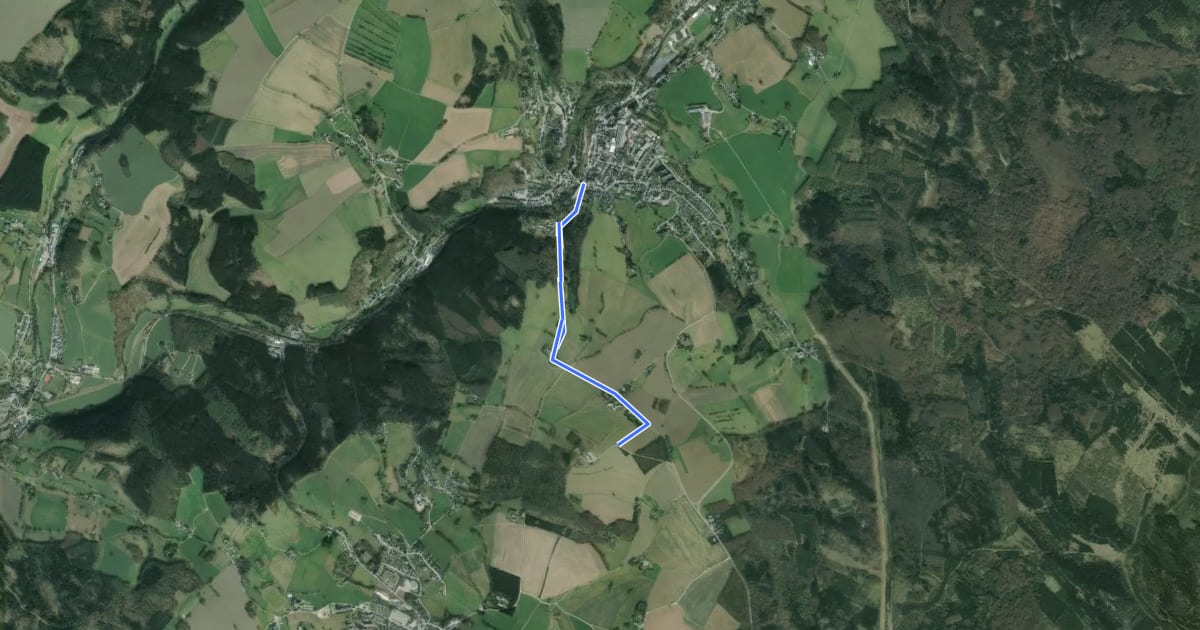 Маршрут Ww Neuhausen - Schwartenberg на спутниковом снимке