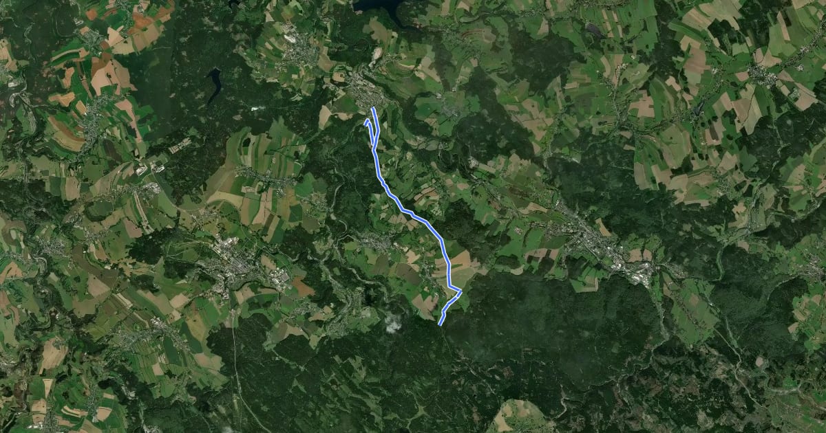 Маршрут Ww Pockau-Ansprung Oberdorf на спутниковом снимке