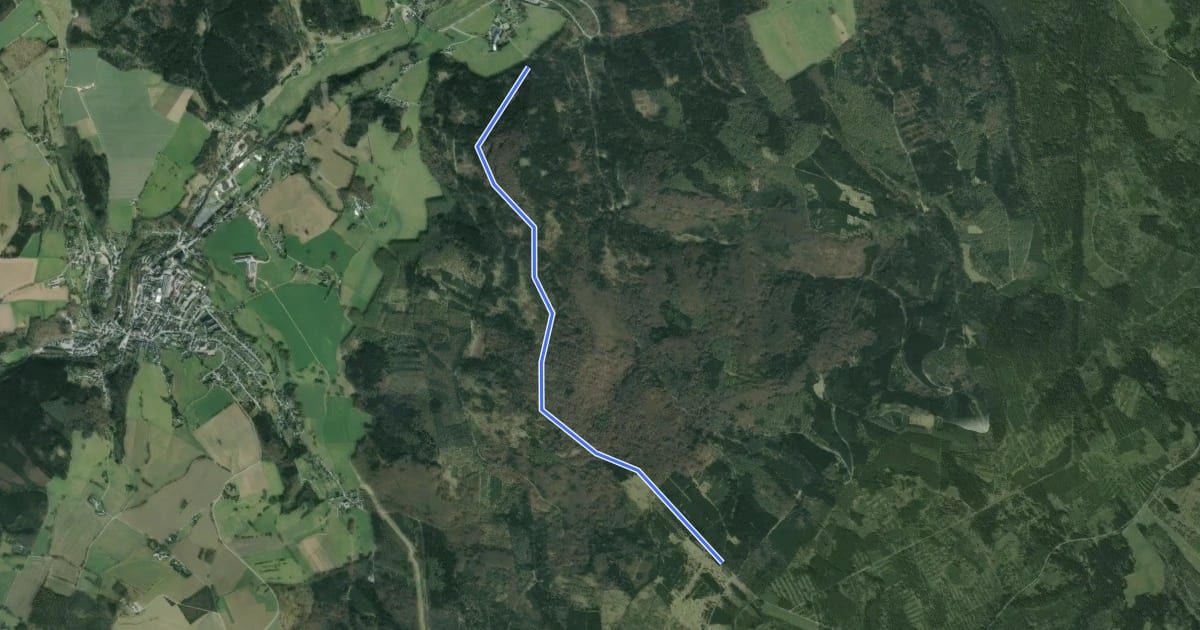 Маршрут Ww Rauschenbach - Schutzhütte am Zigeunerweg, на спутниковом снимке