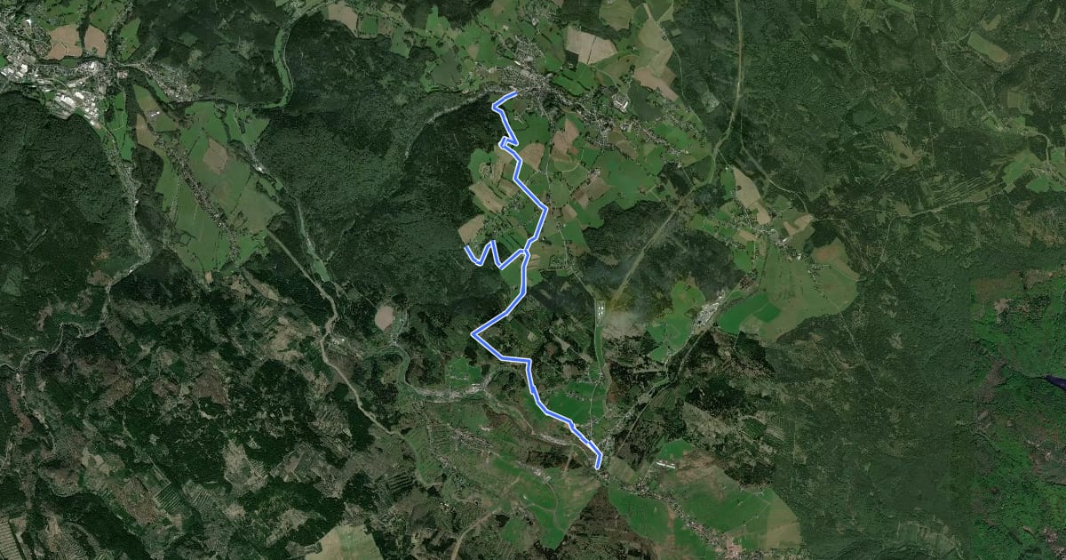 Маршрут Ww Seiffen-Deutschneudorf на спутниковом снимке