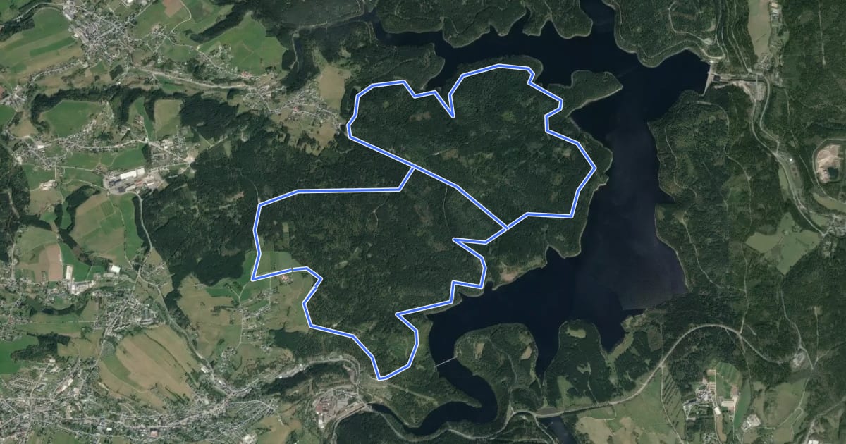 Маршрут Ww Talsperrenrundweg на спутниковом снимке