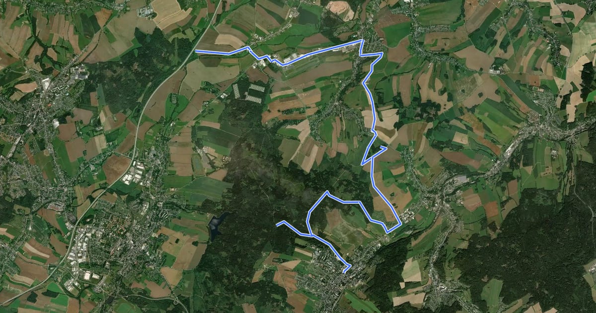 Маршрут WW Thalheim-Eisenweg-Jahnsdorf на спутниковом снимке