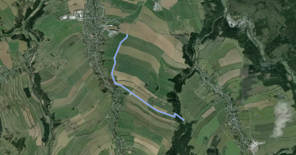 Маршрут Ww vom E3 bei Mildenau-Rauschenbachmühle на спутниковом снимке