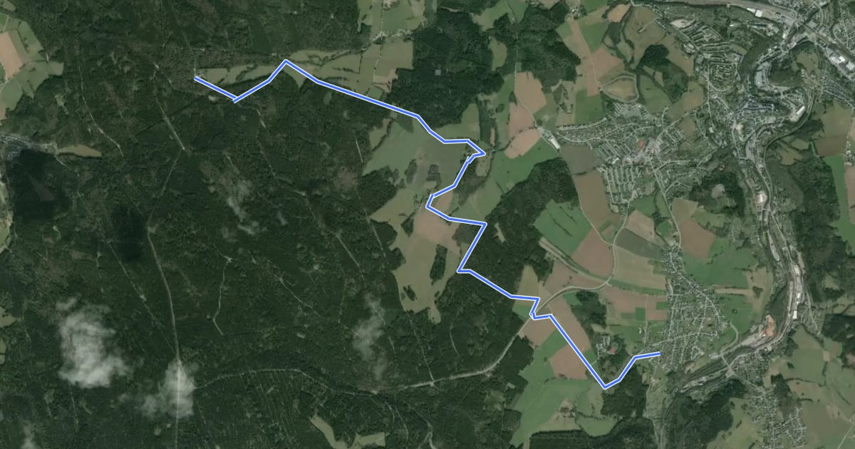 Маршрут Ww Waldschulheim Conradswiese - Bermsgrün на спутниковом снимке