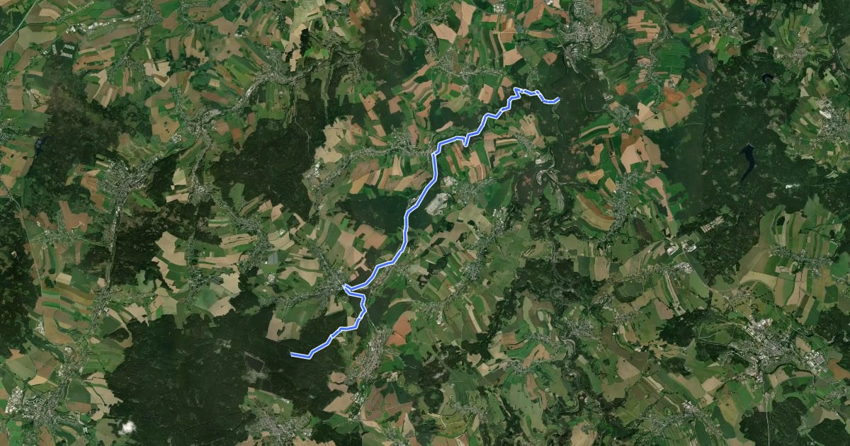 Маршрут Ww Wilischthalwanderweg на спутниковом снимке