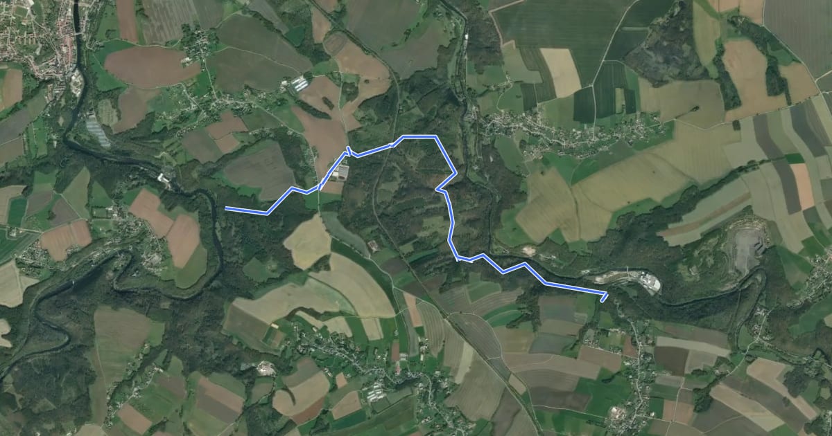 Маршрут Ww Zwickauer Mulde-Mohsdorf на спутниковом снимке