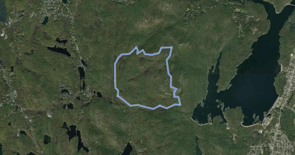Маршрут Wyanokie Circular Loop Trail на спутниковом снимке