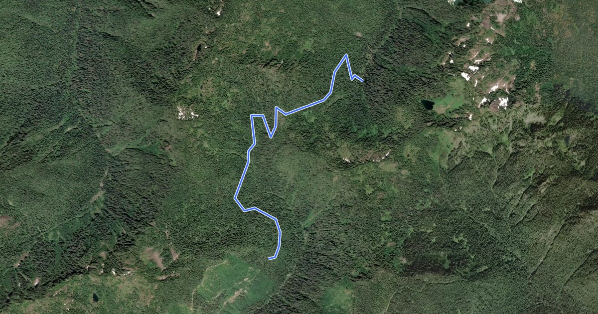 Маршрут Wynoochee Pass Trail на спутниковом снимке