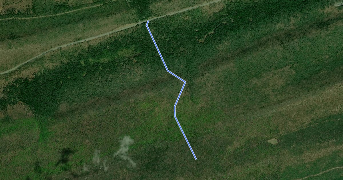 Маршрут Yankee Run Trail на спутниковом снимке