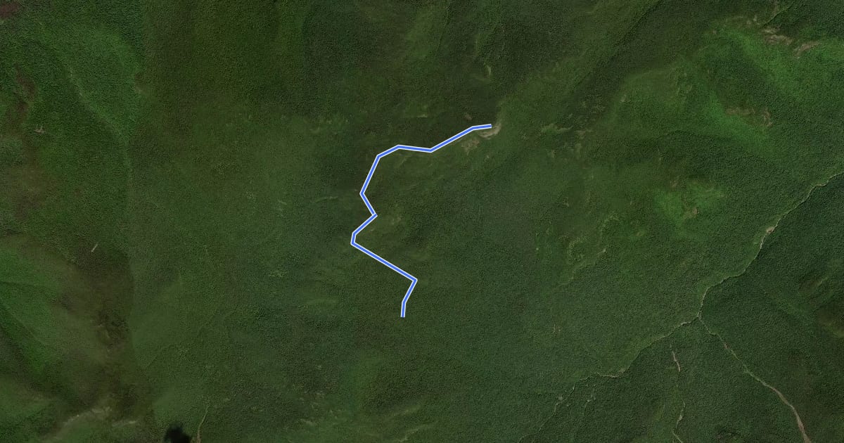 Маршрут Yard Mountain Trail на спутниковом снимке