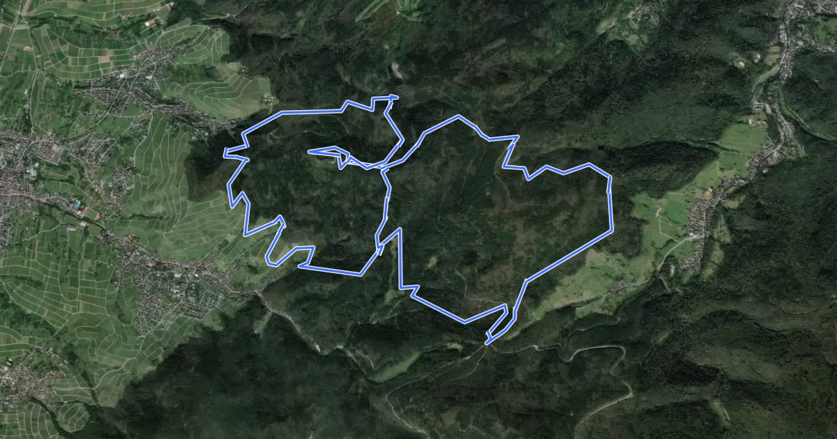 Маршрут Yburg-Trail на спутниковом снимке