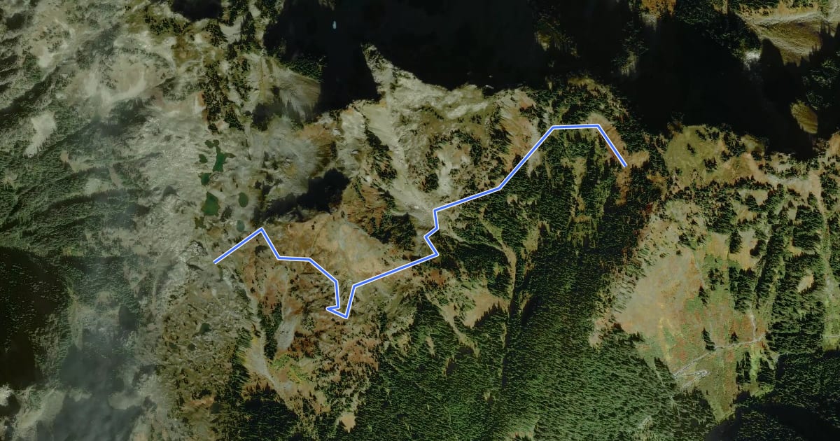 Маршрут Yellow Aster Butte Trail на спутниковом снимке