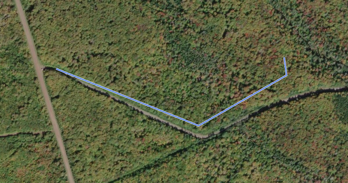 Маршрут Yellow Birch Trail на спутниковом снимке