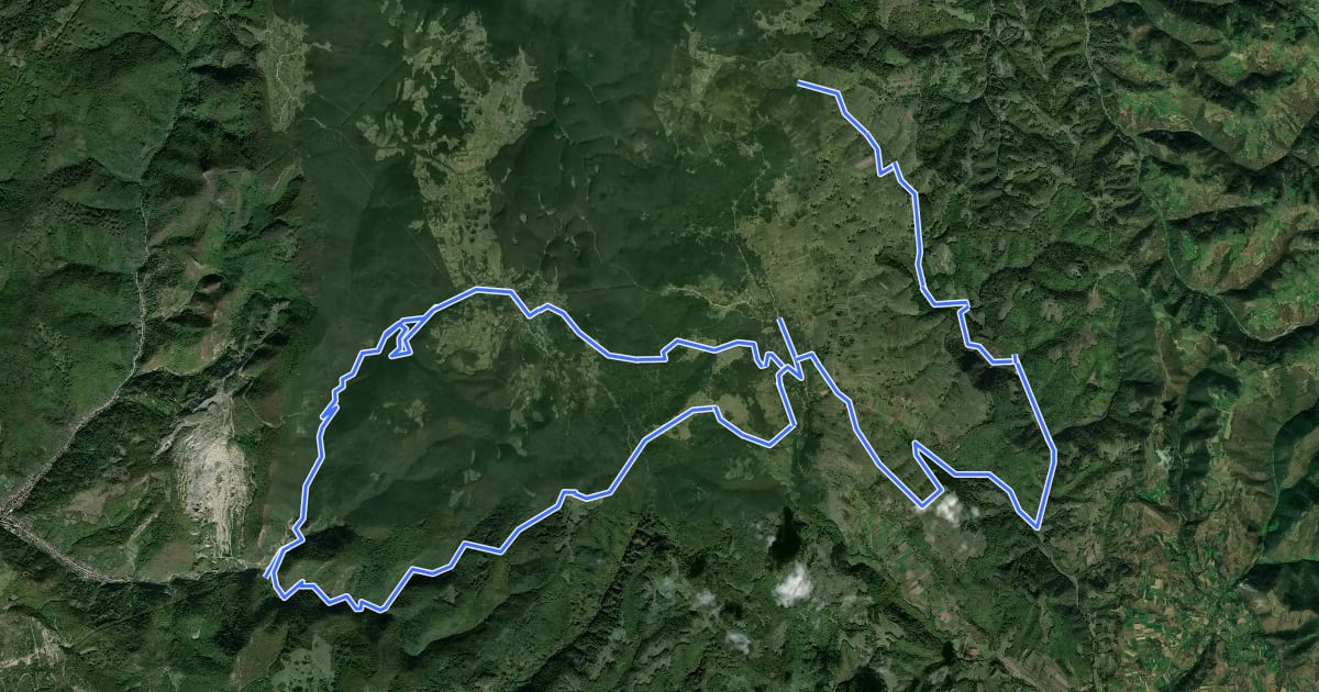 Маршрут Yellow dot path на спутниковом снимке