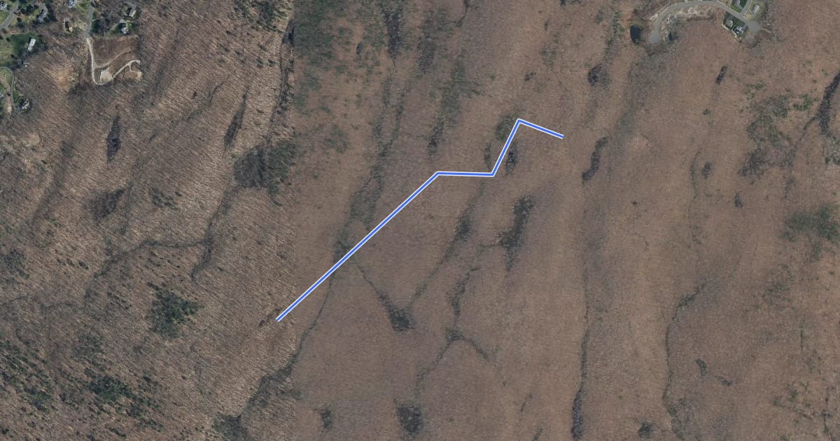 Маршрут Yellow-Gray Trail на спутниковом снимке